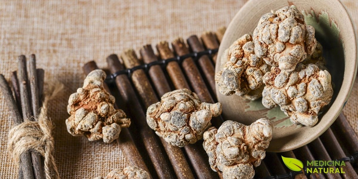 Raiz de ginseng-de-tien-chi (Panax notoginseng) fatiada e seca, pronta para uso em preparações da medicina tradicional chinesa. A raiz é a parte mais valiosa da planta, concentrando saponinas e ginsenosídeos responsáveis por seus potentes efeitos na circulação sanguínea e saúde cardiovascular. O processo de secagem e fatiamento prepara a raiz para ser usada em chás, pós ou extratos.