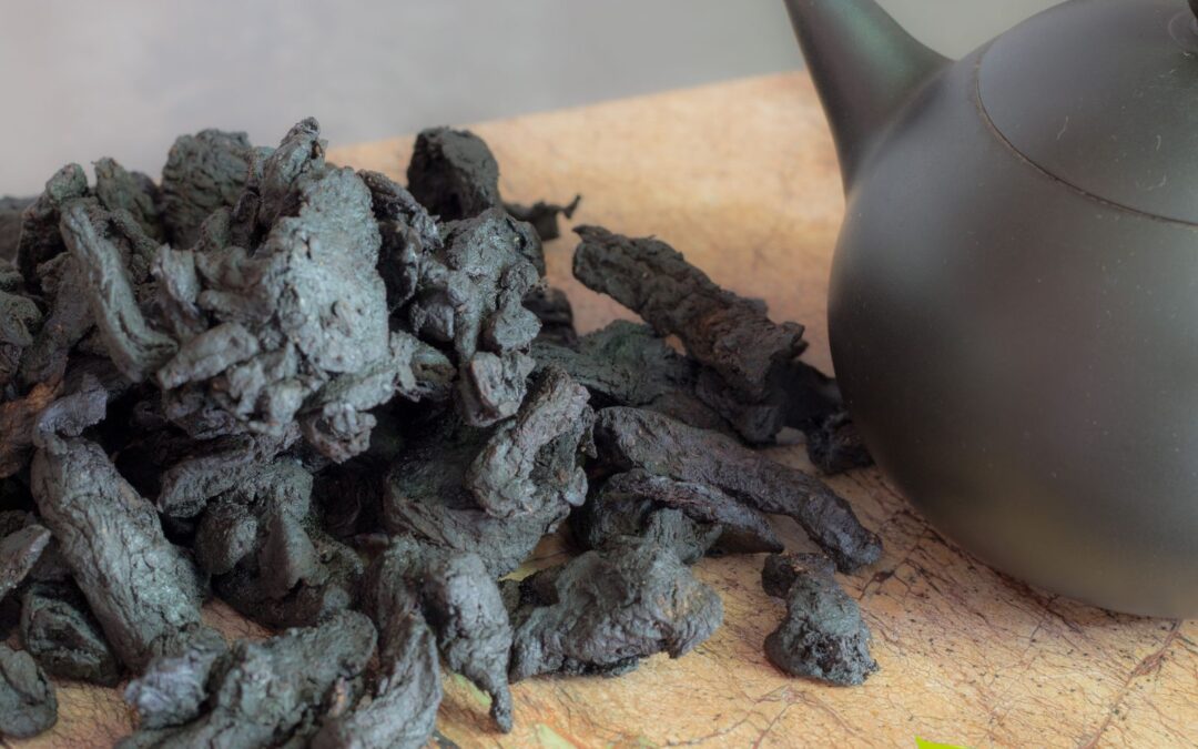 Rehmannia glutinosa (GINSENG-DE-TERRA)