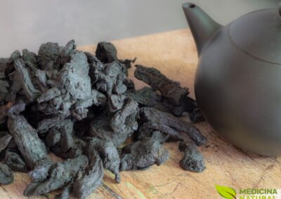 Rehmannia glutinosa - Ginseng-de-Terra