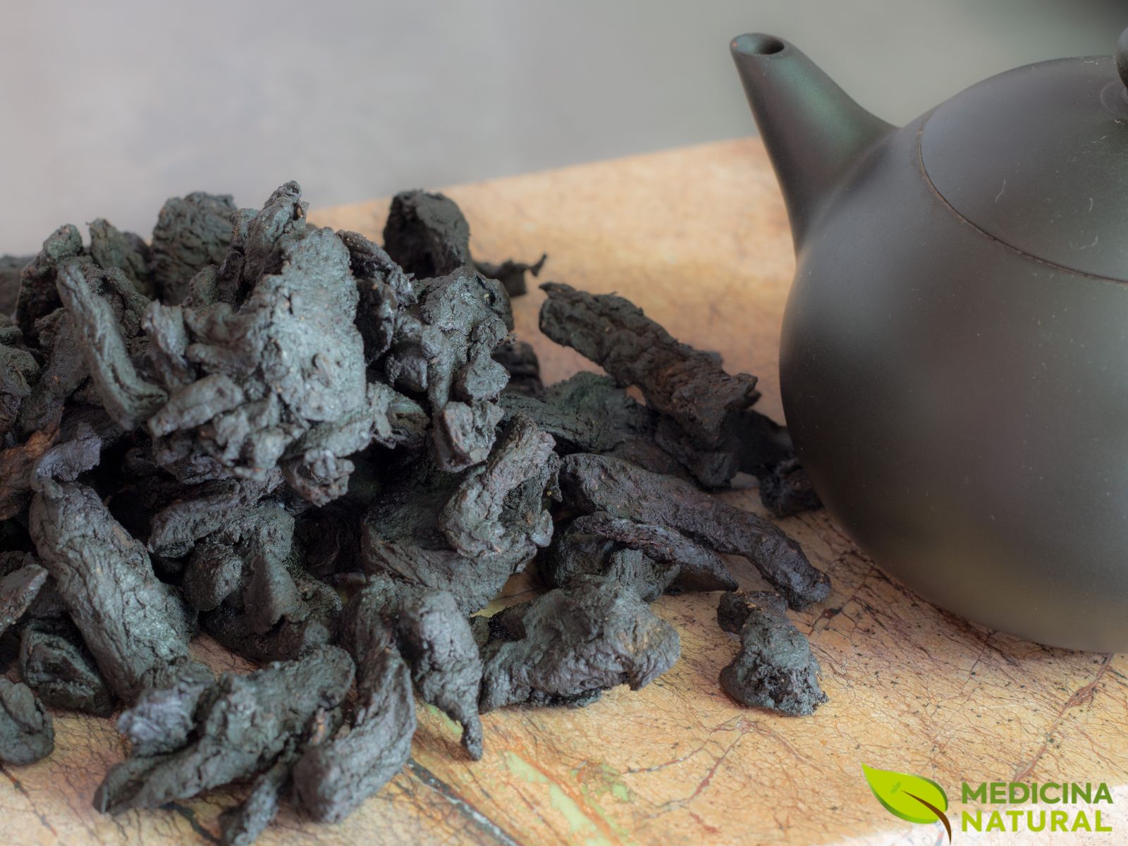 Rehmannia glutinosa - Ginseng-de-Terra