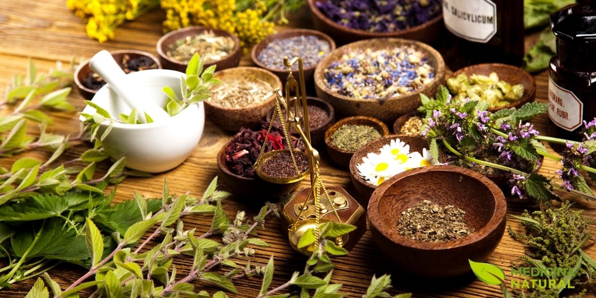 Os principais remédios naturais para depressão incluem ervas medicinais, alimentos funcionais e práticas integrativas. Este guia visual destaca a abordagem holística no tratamento da saúde mental, combinando o poder da natureza com evidências científicas para promover o bem-estar emocional de forma segura e eficaz.