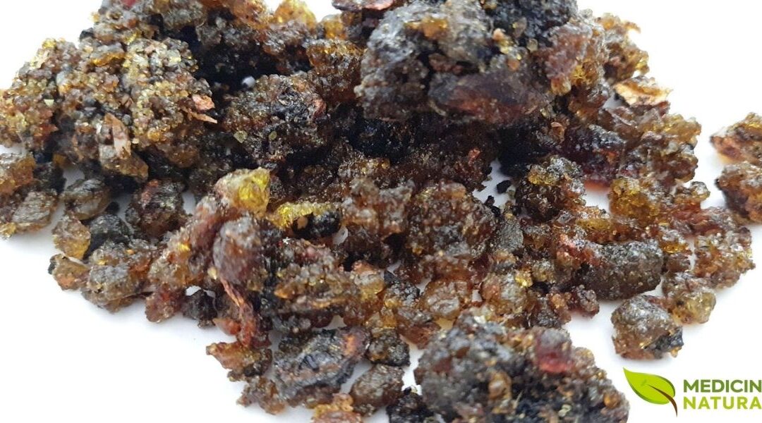 Guggul: Descubra os Benefícios Desta Resina Ayurvédica Milenar