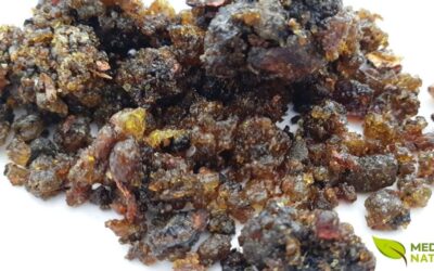 Guggul: Descubra os Benefícios Desta Resina Ayurvédica Milenar