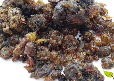 Pedaços da resina dourada de guggul (Commiphora wightii), um tesouro da medicina ayurvédica usado há mais de 3.000 anos. Esta oleo-goma-resina é extraída da casca da árvore e concentra compostos bioativos como a guggulsterona, responsável por suas potentes propriedades anti-inflamatórias e seus efeitos no metabolismo. A resina é tradicionalmente purificada antes do uso medicinal para remover impurezas e potencializar sua eficácia terapêutica.