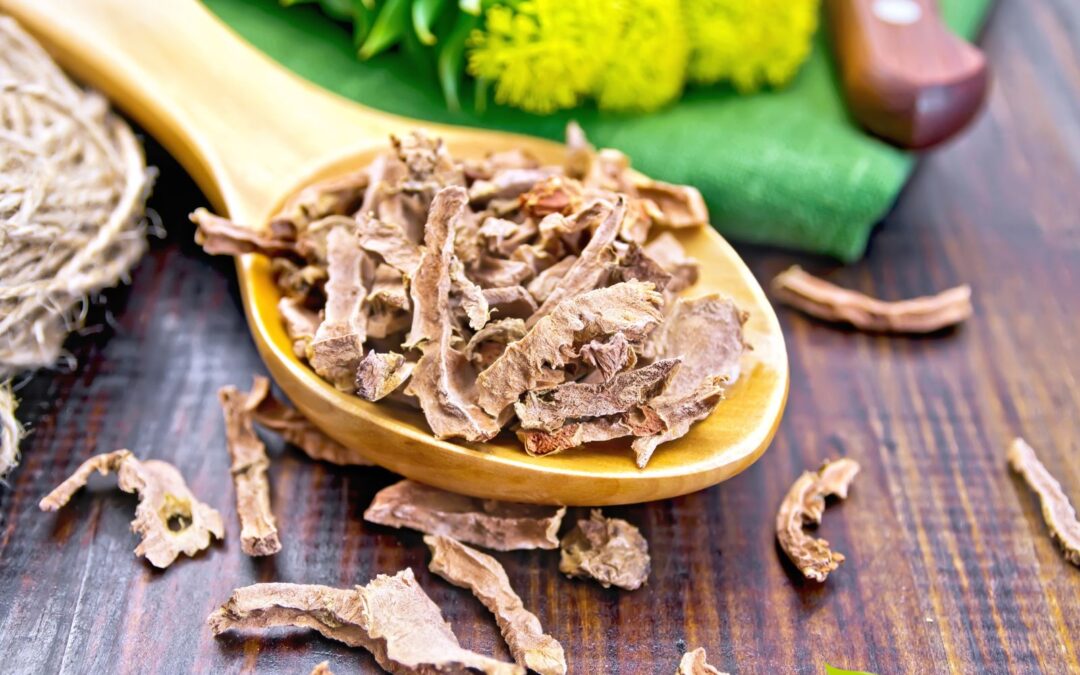 Rhodiola rosea: erva que reduz o estresse