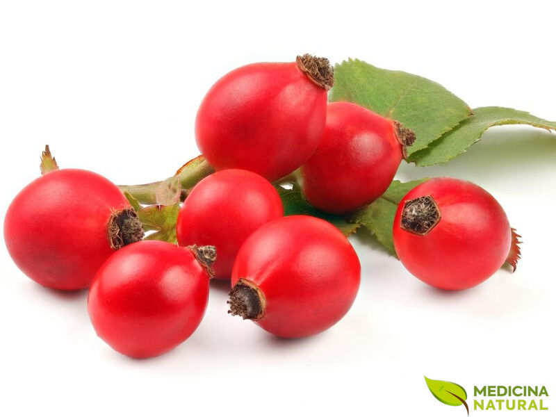 Rosa-mosqueta (Rosa canina) - Rose hips (frutos)