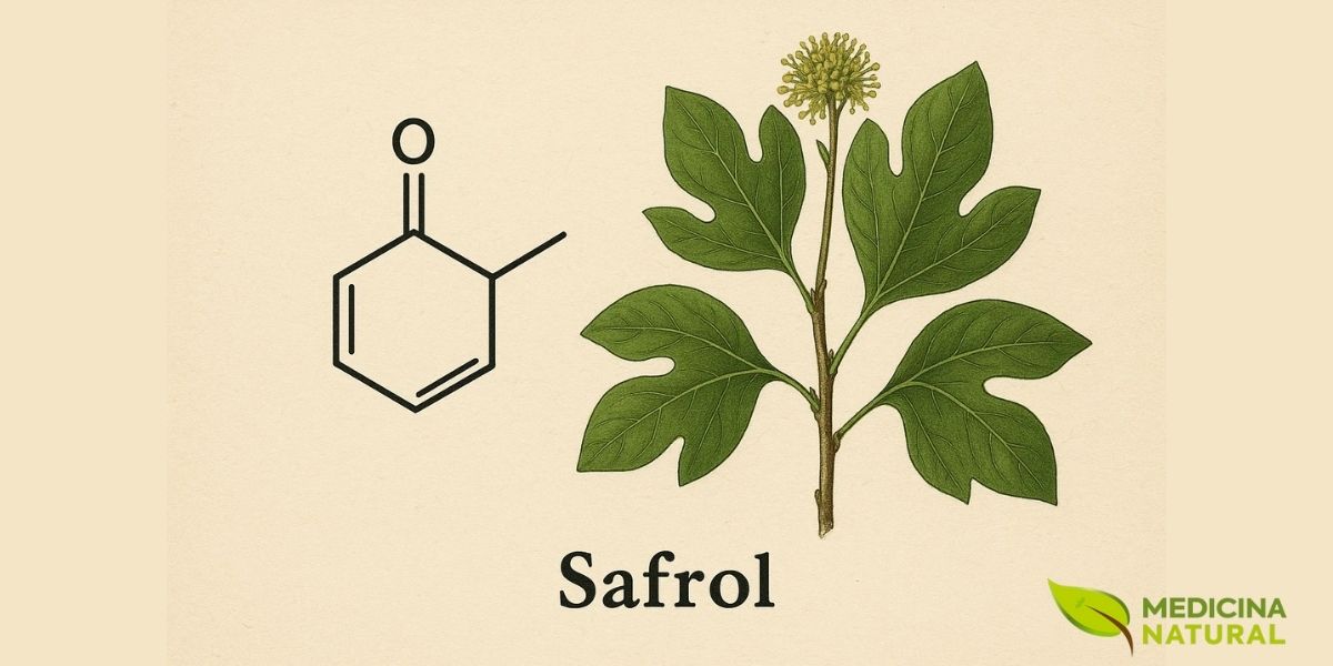 Safrol