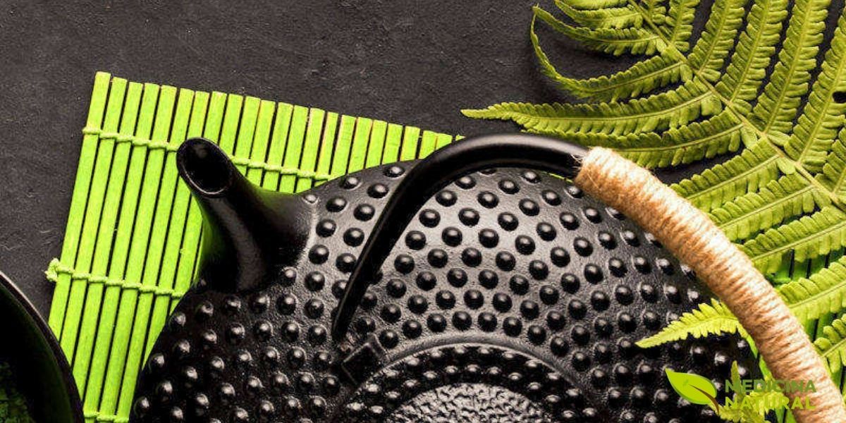 Quando o tema é chá de samambaia associado a Dryopteris filix-mas, a tradição histórica precisa vir acompanhada de cautela. A espécie ficou conhecida em usos antigos, mas também é ligada à toxicidade, o que torna inadequado tratar seu consumo como algo simples, cotidiano ou isento de risco.