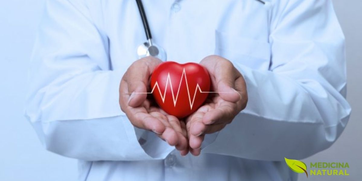 Cuidar da saúde cardíaca é fundamental para uma vida plena e ativa. A prevenção, através de hábitos saudáveis, é o melhor caminho para evitar complicações como o aparecimento da disfunção erétil e garantir o bem-estar do coração, refletindo diretamente na qualidade de vida e na disposição para as atividades diárias.