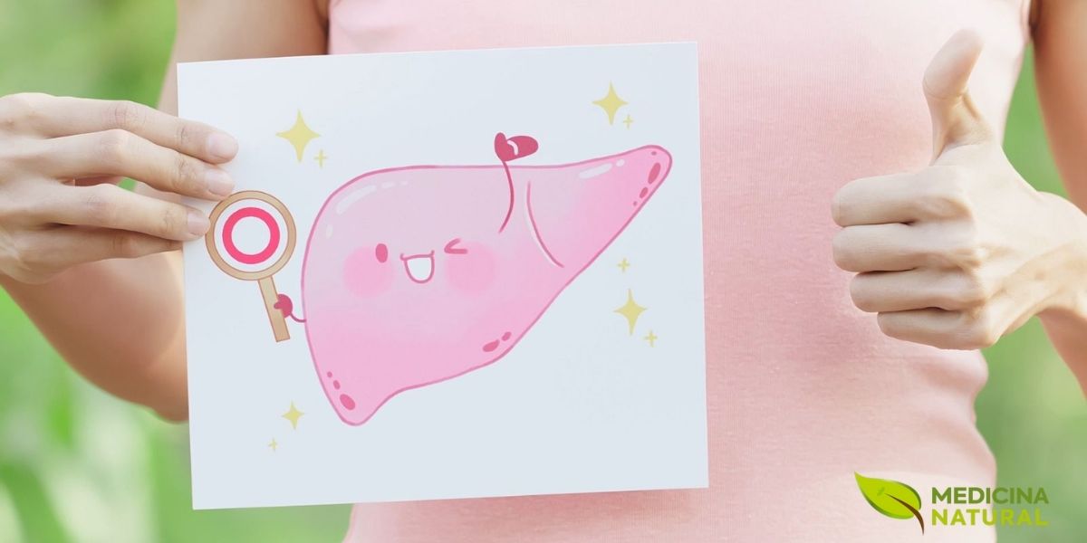 O fígado é o grande “laboratório” do corpo: participa do metabolismo, da digestão e do processamento de substâncias. Contudo, excesso de álcool, ultraprocessados e sedentarismo podem sobrecarregar essa função. Priorizar comida de verdade, manter um peso saudável, dormir bem e fazer check-ups periódicos é um caminho simples para apoiar a saúde hepática. Se houver cansaço persistente, dor abdominal ou exames alterados, busque orientação profissional.