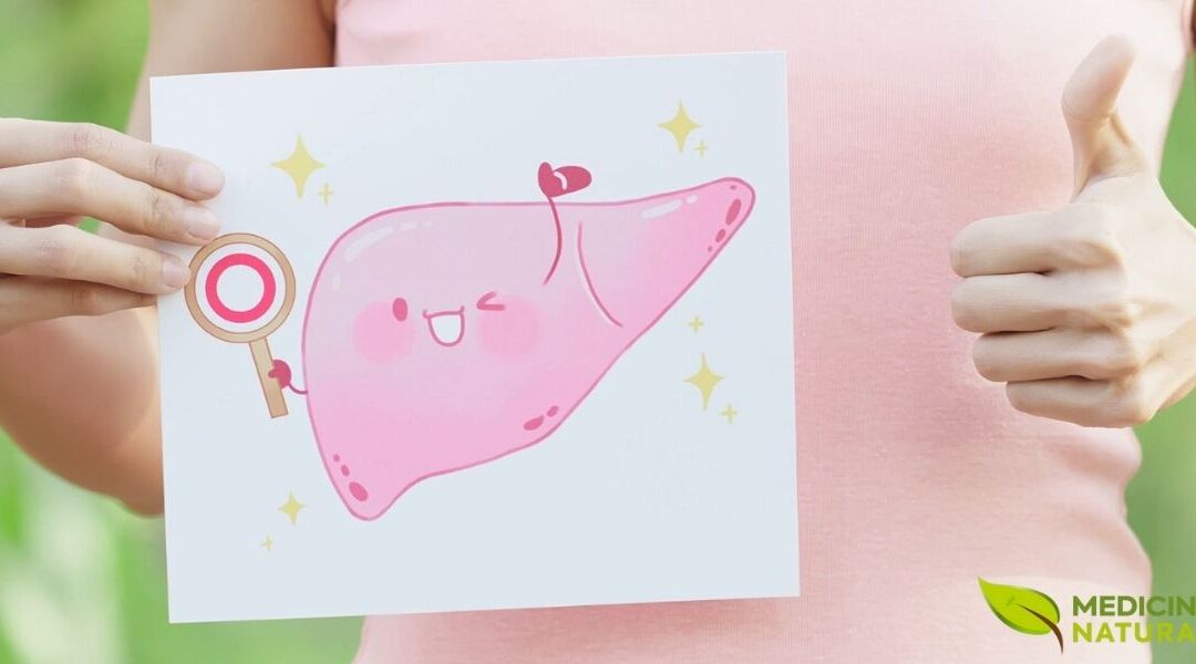 Fígado: Como Prevenir Doenças Hepáticas Como a Cirrose