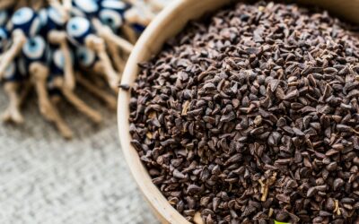 Arruda-síria: saiba para que serve