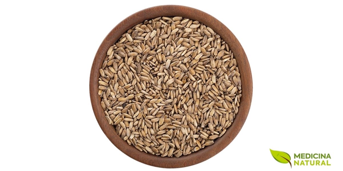 As sementes de cardo-mariano inteiras preservam melhor seus compostos ativos. Para o preparo do chá mais eficaz, elas devem ser moídas apenas no momento do uso, garantindo a máxima extração da silimarina.