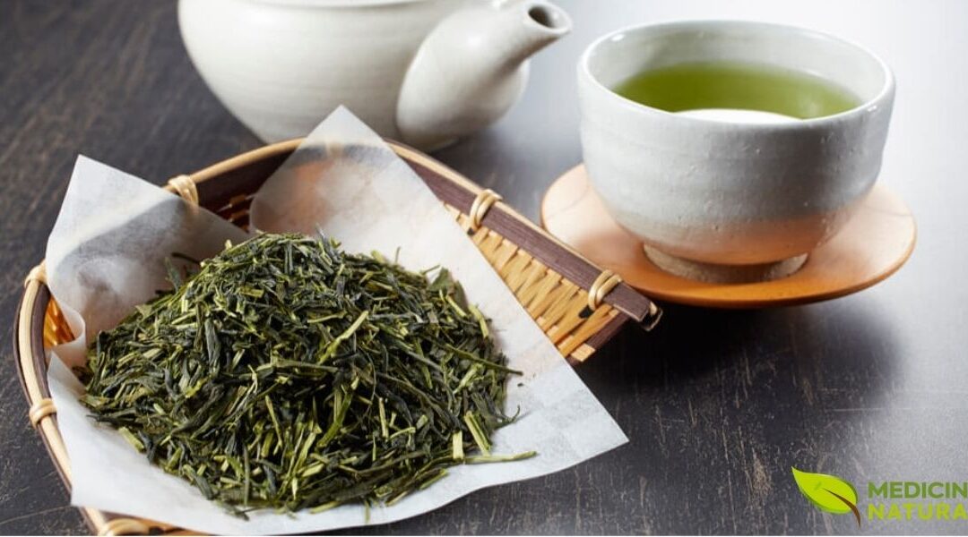 Sencha: Guia Completo do Chá Verde Japonês Consumido