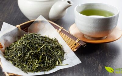 Sencha: Guia Completo do Chá Verde Japonês Consumido