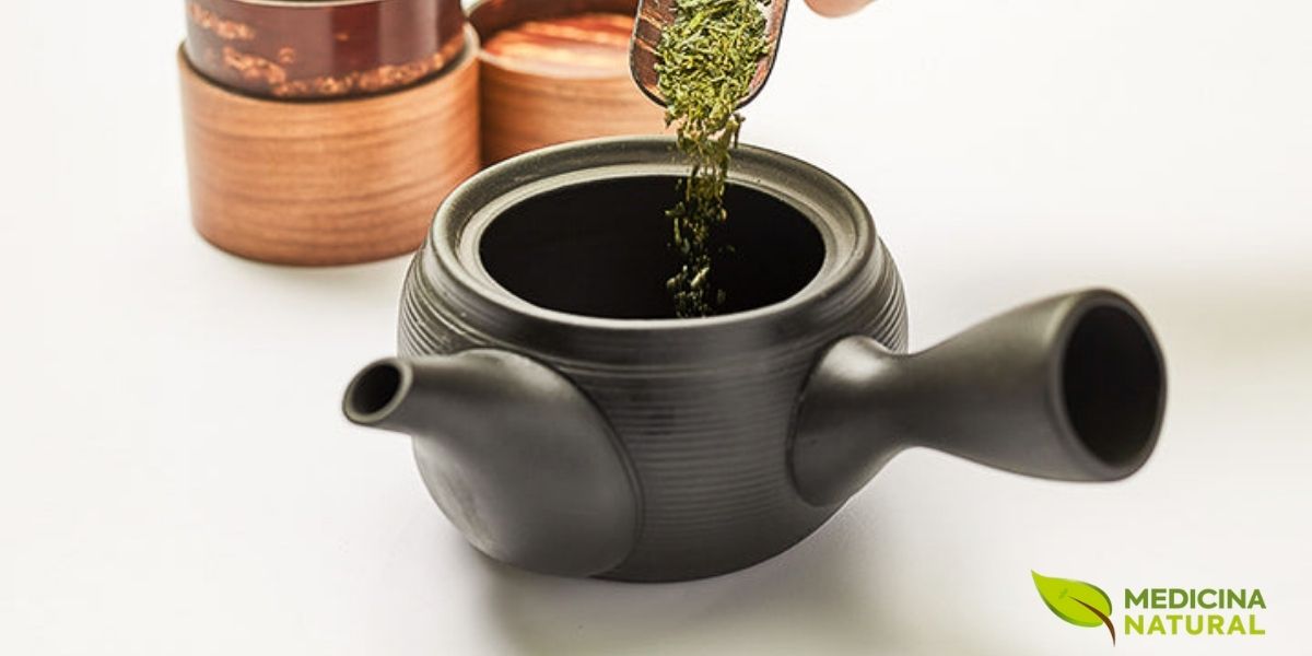 Preparo tradicional de Sencha em bule kyusu, mostrando o processo de infusão do chá verde mais popular do Japão. O Sencha representa cerca de 80% da produção japonesa de chá e é consumido diariamente em milhões de lares. Seu sabor equilibrado entre doçura e adstringência leve, com notas vegetais frescas e um toque de umami, o torna acessível tanto para iniciantes quanto para conhecedores. A técnica de preparo mostrada aqui, com atenção à temperatura e tempo, é essencial para evitar o amargor e extrair o melhor do chá.