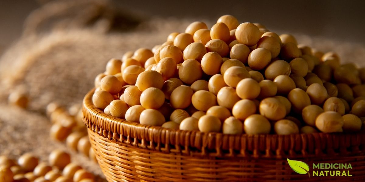 A soja é um alimento versátil, contudo extremamente completo. Ela oferece proteína vegetal de alta qualidade, além de fibras e minerais como ferro, magnésio e potássio. Além disso, fornece compostos bioativos, como isoflavonas, que podem apoiar o equilíbrio nutricional quando inseridas em uma rotina alimentar bem planejada. Na prática, combina com pratos do dia a dia: tofu grelhado, edamame, leite de soja, tempeh e até molhos. É uma opção interessante para variar as fontes de proteína, manter a saciedade e dar mais consistência às refeições.