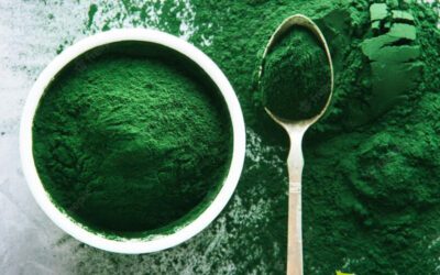 Spirulina: saiba os benefícios da alga