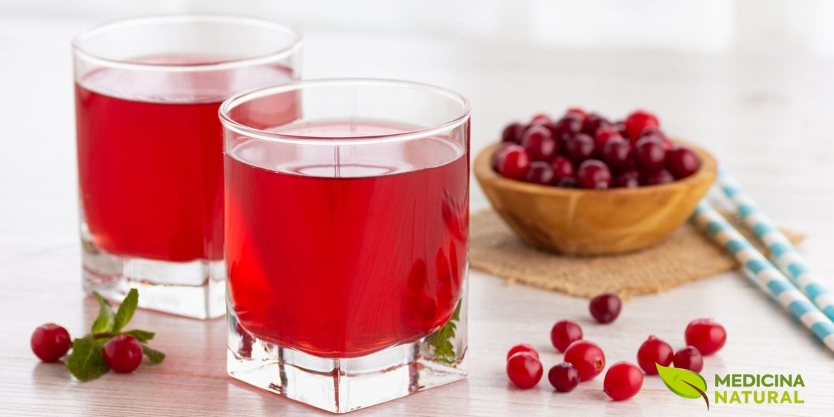 O suco de cranberry é a forma mais popular de consumo medicinal desta planta, sendo rico em proantocianidinas (PACs) do tipo A na concentração de 36 mg por porção de 240 ml. Estudos clínicos demonstram que o consumo regular de suco puro de cranberry (não adoçado ou minimamente adoçado) reduz significativamente a recorrência de infecções do trato urinário em mulheres. O mecanismo de ação envolve a inibição da adesão de bactérias E. coli às células do epitélio urinário. Para fins terapêuticos, recomenda-se o suco puro ou com mínimo de açúcar adicionado, pois o açúcar pode neutralizar os efeitos benéficos.