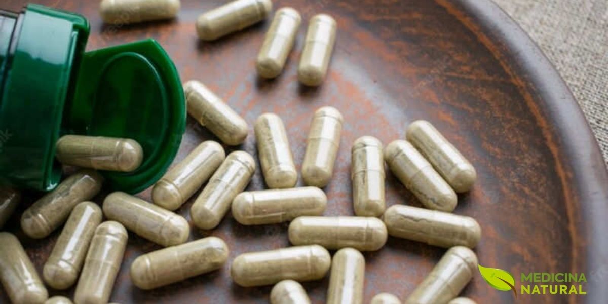 Um frasco de suplemento de extrato de saw palmetto, representando a forma moderna como os benefícios desta planta são consumidos. Esta imagem conecta o uso tradicional da planta com a ciência e a conveniência dos suplementos nutricionais de hoje.