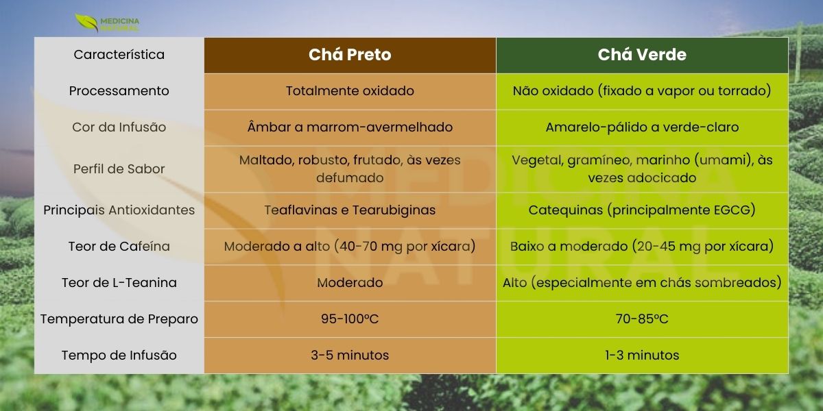 A tabela compara quatro estilos clássicos de chá (verde, branco, oolong e preto) com base em oxidação e processamento - fatores que definem aroma, sabor e composição. À medida que a oxidação aumenta, o perfil sensorial costuma ganhar corpo e notas maltadas/frutadas, enquanto catequinas como EGCG tendem a diminuir por transformação em teaflavinas. A cafeína varia conforme o estilo e o método, indo de baixa/moderada no branco a alta no preto. Uma forma rápida de escolher pelo paladar e pelo momento.