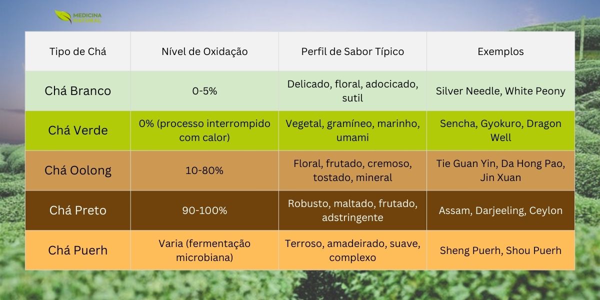 Comparativo dos principais tipos de chá por nível de oxidação e perfil de sabor. O chá branco (0-5%) é sutil e floral; o chá verde tem oxidação interrompida pelo calor, com notas vegetais e umami. O oolong (10-80%) é o mais variado, podendo ser floral, frutado, cremoso ou tostado. O chá preto (90-100%) entrega intensidade maltada e adstringência. Já o puerh passa por pós-fermentação microbiana, criando um caráter terroso, amadeirado e complexo, em estilos Sheng e Shou.