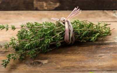 Tomilho: veja para que serve a especiaria