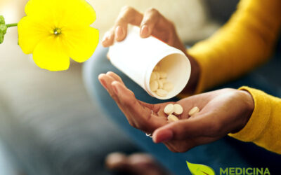 Tribulus terrestris: como tomar?