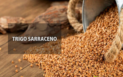 Trigo sarraceno: saiba para que serve
