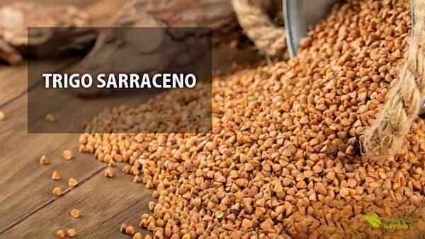 Trigo-sarraceno (trigo-mourisco)