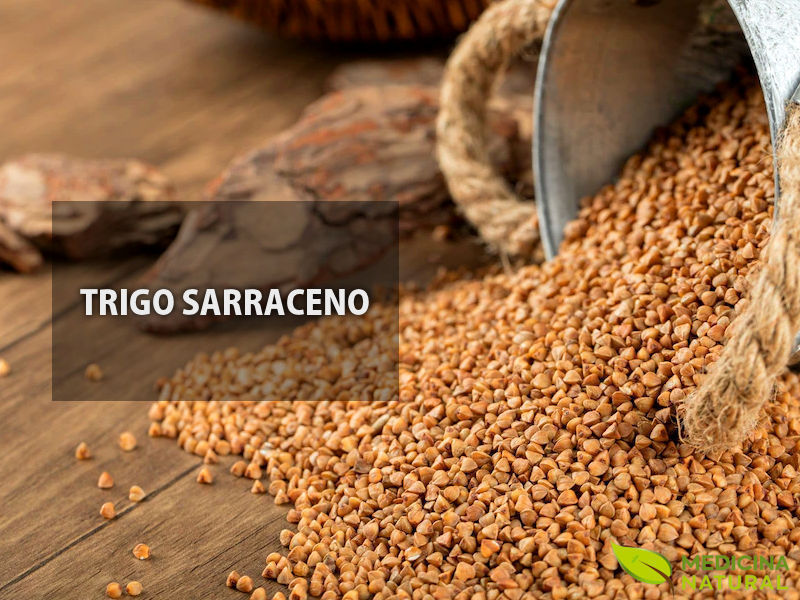 Trigo-sarraceno (trigo-mourisco)