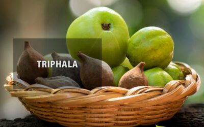 Triphala: estômago e intestino saudáveis