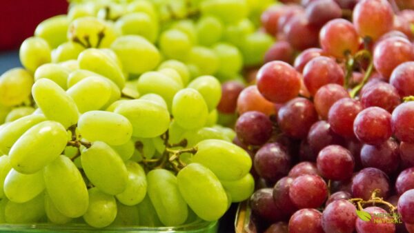 Uvas