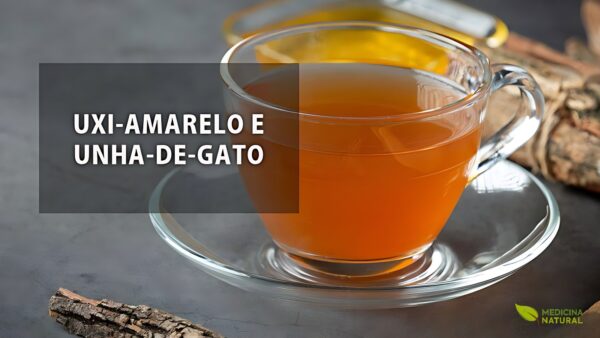 Uxi-amarelo e unha-de-gato