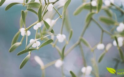 Visco-Branco: Para Que Serve, Benefícios e Como Usar