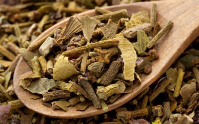 Visco-branco: saiba para que serve o chá