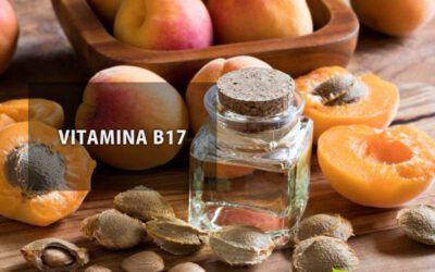Ação da amigdalina e vitamina B17 (laetrile) contra o câncer