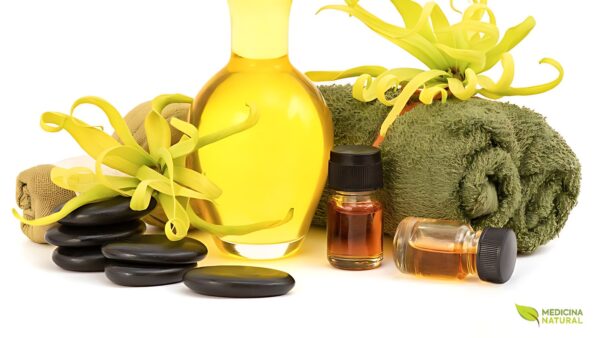 Óleo de ylang ylang - Cananga odorata