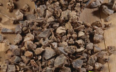 Zedoária: saiba para que serve o chá